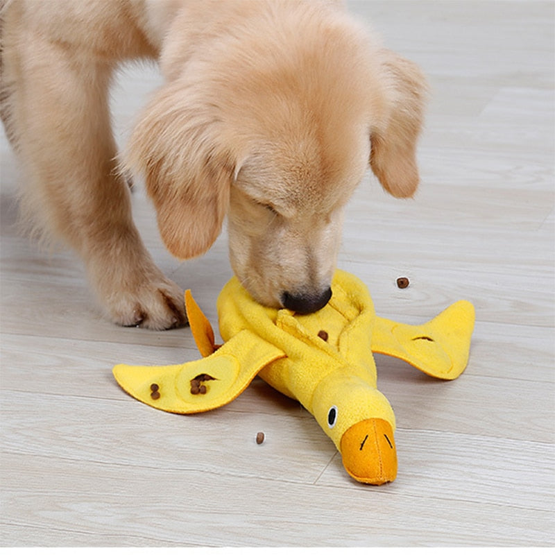 Interactive Cat Toy